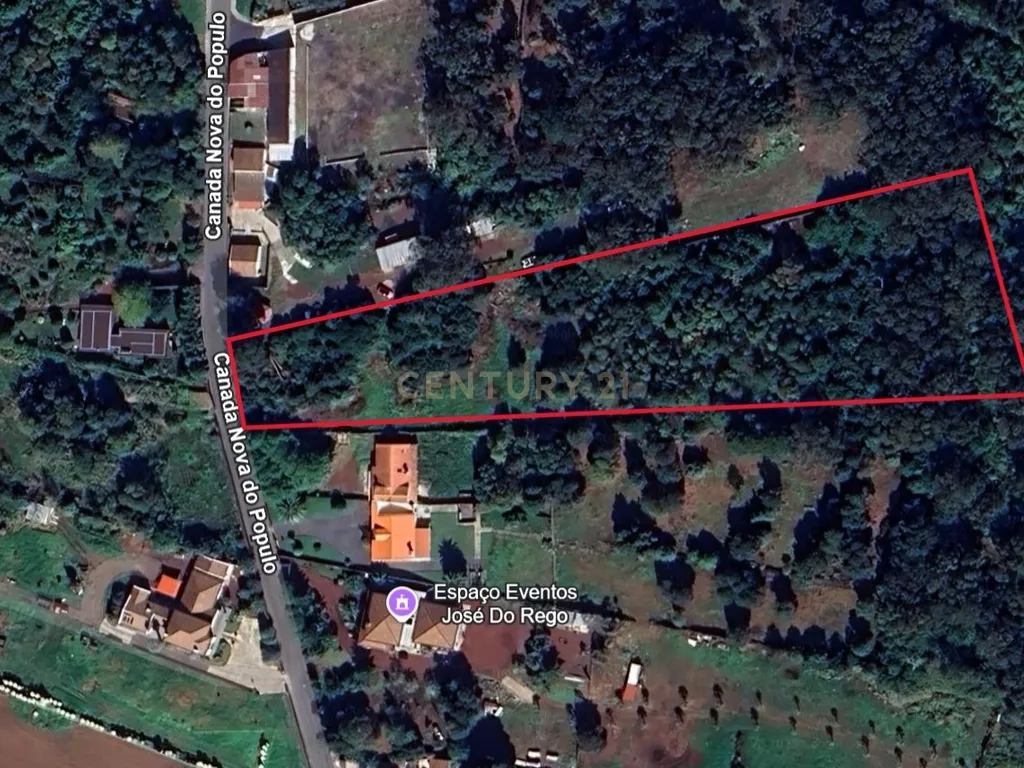 🏡 Terreno à Venda na Canada Nova do Populo - Oportunidade Única em Lagoa – Perto da Praia e da Natureza! 🌿 - Image 3